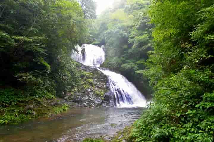 ��̑�Ɠ�̑�